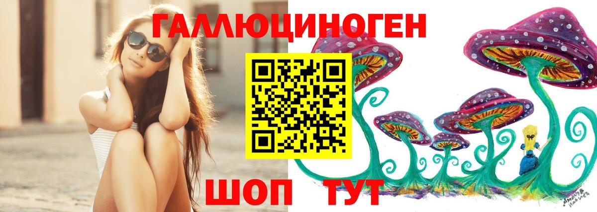 Галлюциногенные грибы GOLDEN TEACHER  Галлюциногенные грибы Psilocybe  Вход с VPN  сколько стоит  Россия 